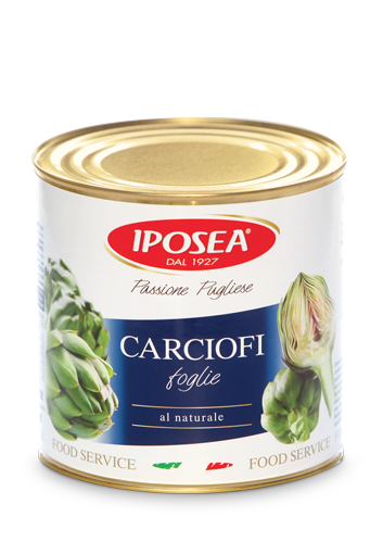 6 x Iposea Carciofi Foglie Naturale gr. 2800