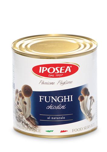 6 x Iposea Funghi Chiodini gr. 2650