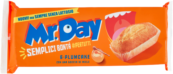 12 x Mr Day Plumcake x6 Astuccio gr. 192