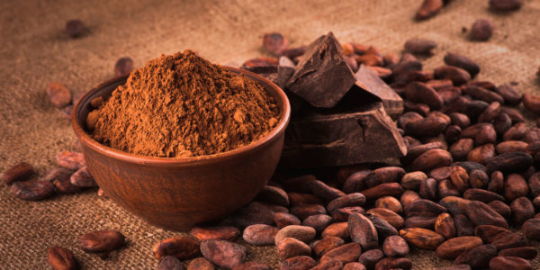 1 x Cacao Polvere 22/24% Kg. 1