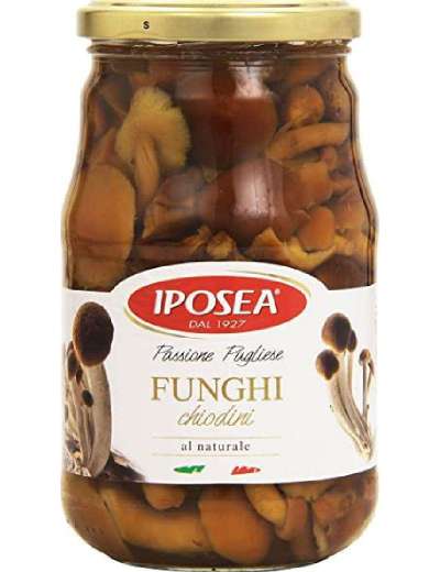 12 x Iposea Funghi Chiodini gr. 435